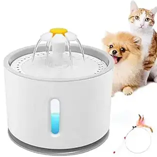 Combien De Temps Un Chat Peut Il Rester Sans Eau Avant De Se Deshydrater Remedes Naturels Pour Animaux Combien De Temps Un Chat Peut Il Rester Sans Eau Avant De Se Deshydrater Remedes Naturels Pour Animaux
