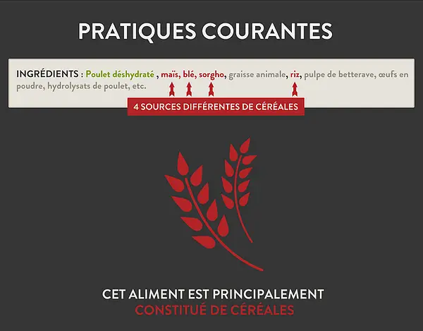 3-pratiques-courantes-aliments-chien