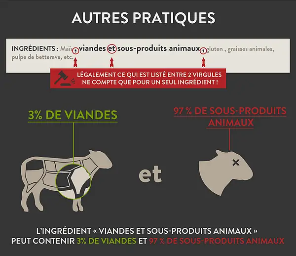 5-aliments-chien-mauvaises-pratiques