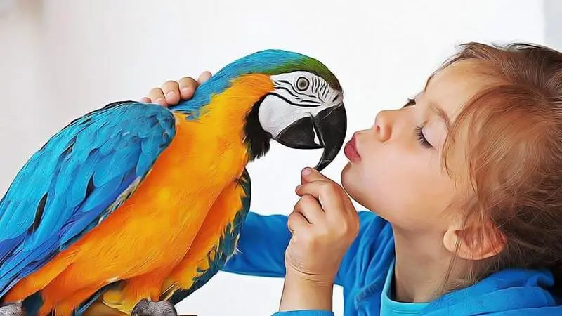 kit premiers soins pour oiseau de compagnie
