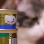 Comment lire les étiquettes des aliments pour chien et pour chats