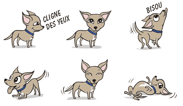 les signes d'un chien heureux