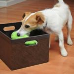 Apprendre à votre chien à ranger ses jouets ou des objets