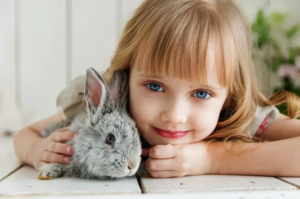 Lapin et jeunes enfants allergie