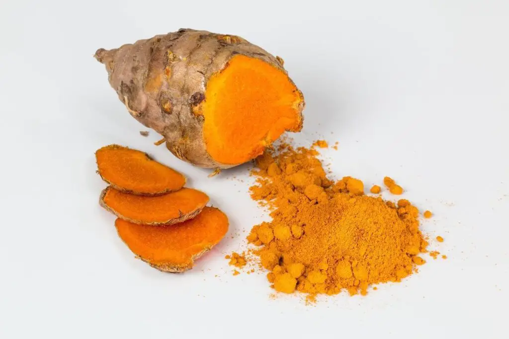 Curcuma contre le lipome du chien