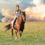 Soins et santé du cheval : Conseils et guide pratique