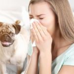 9 conseils ou astuces pour vivre avec son chien quand on est allergique