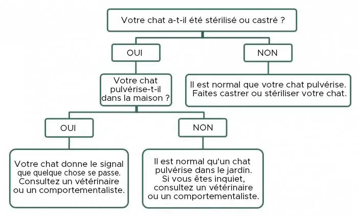 chat qui pulvérise que faire