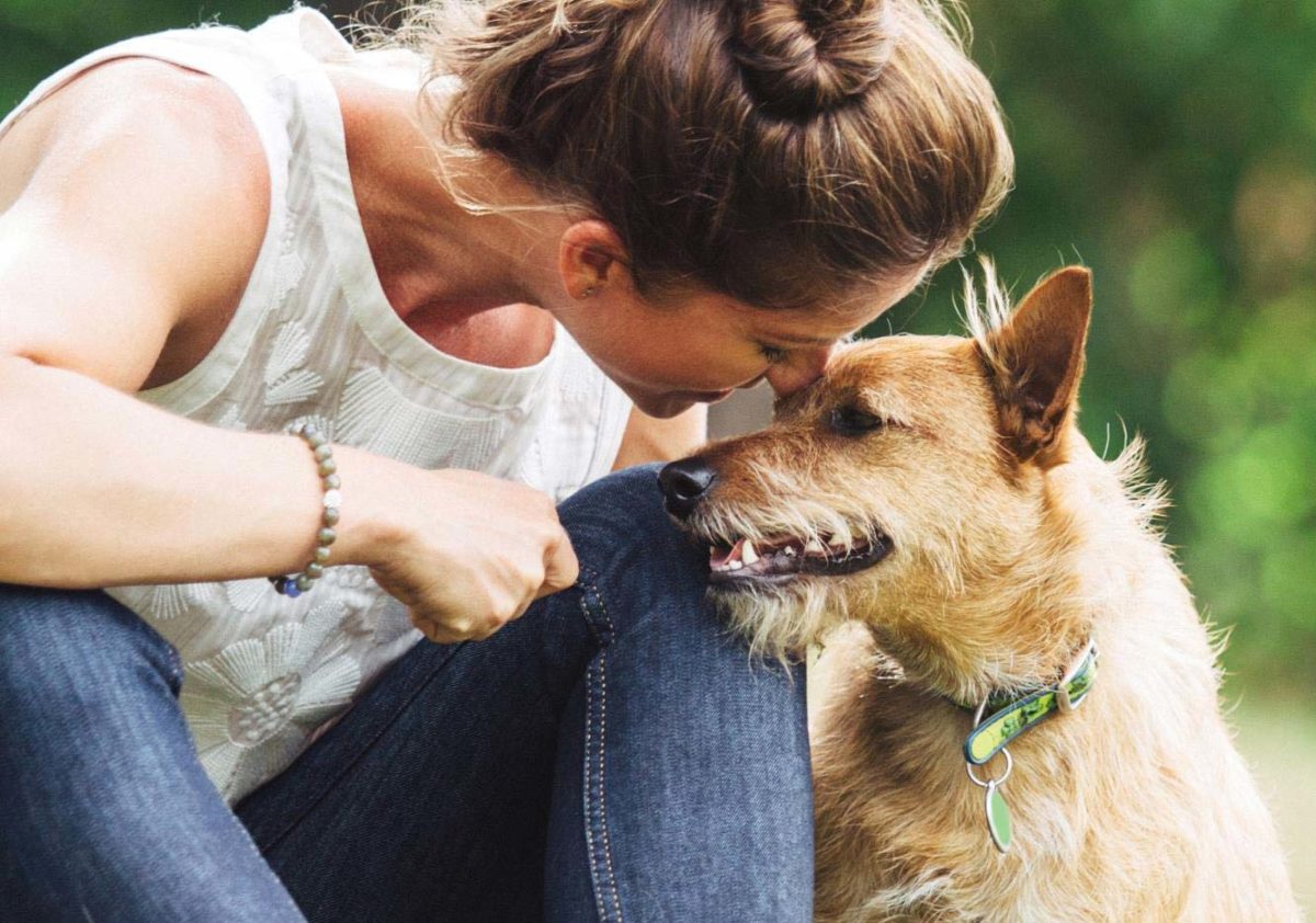 quelle récompense est utile pour son chien