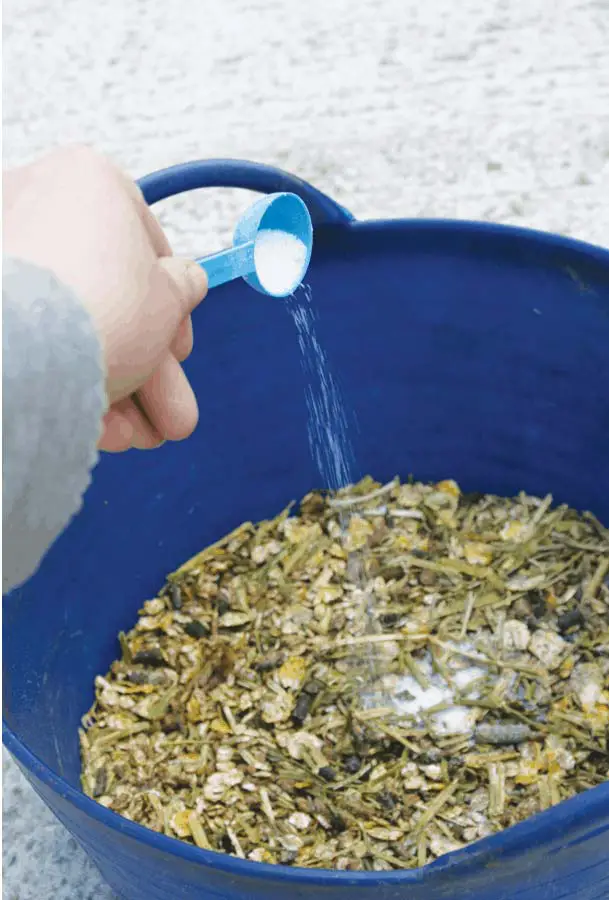Ajouter du sel à l'alimentation