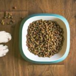 Mon chien a peu d'appétit ou ne veut pas manger : causes possibles (et solutions)