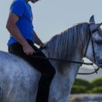 Monter à Cheval sans Selle : Conseils et Technique