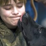 Léchage : Comment empêcher votre chien de vous lécher