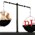 Votre chien ou votre chat pourrait-il avoir un déséquilibre du pH ?