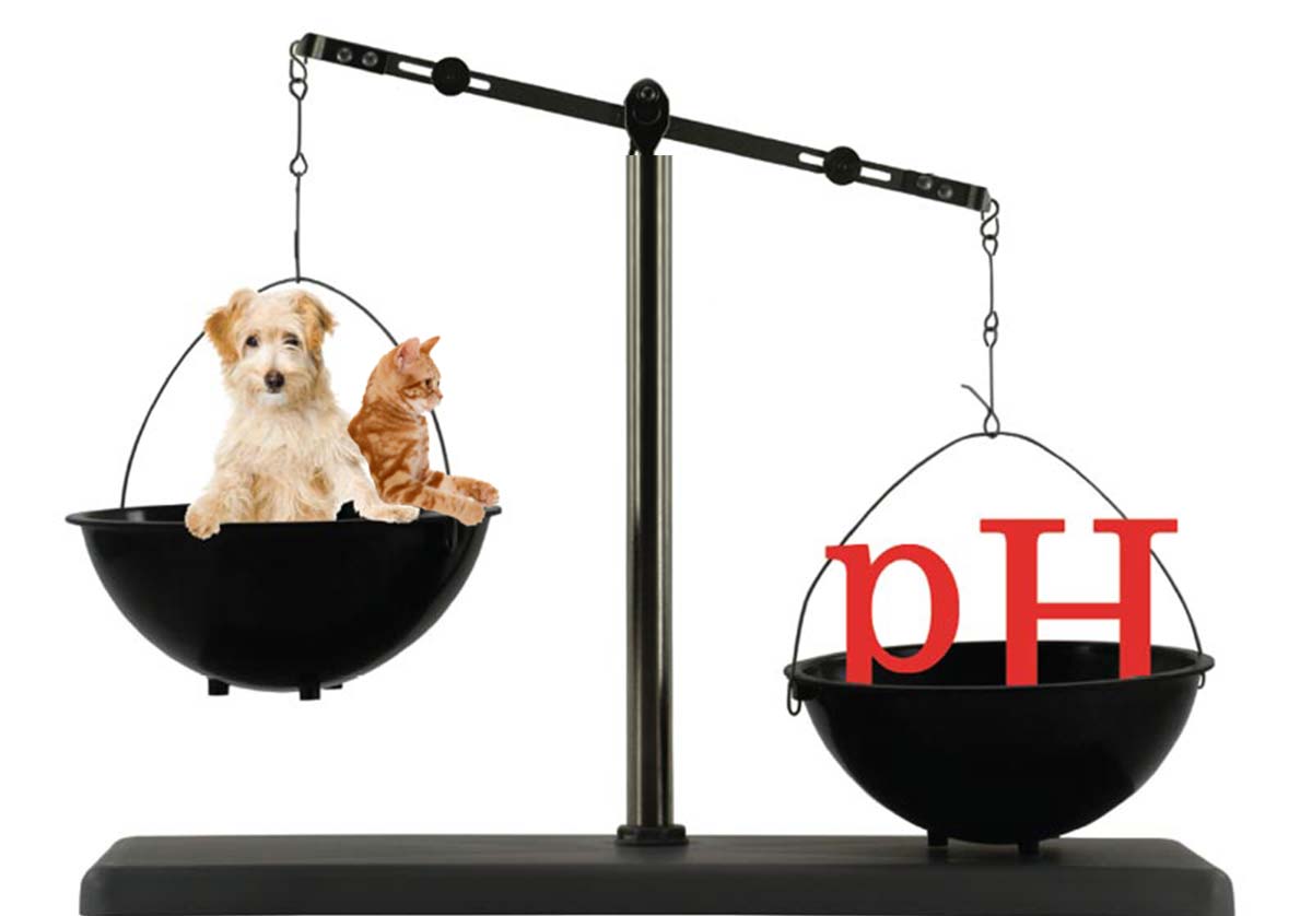 équilibre acide base (pH) chien et chat