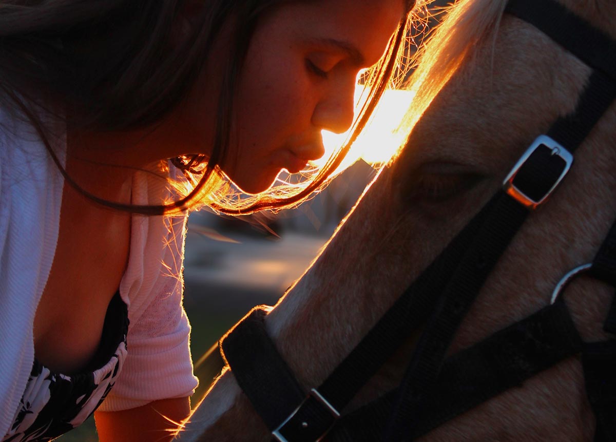 euthanasie du cheval infos et conseils