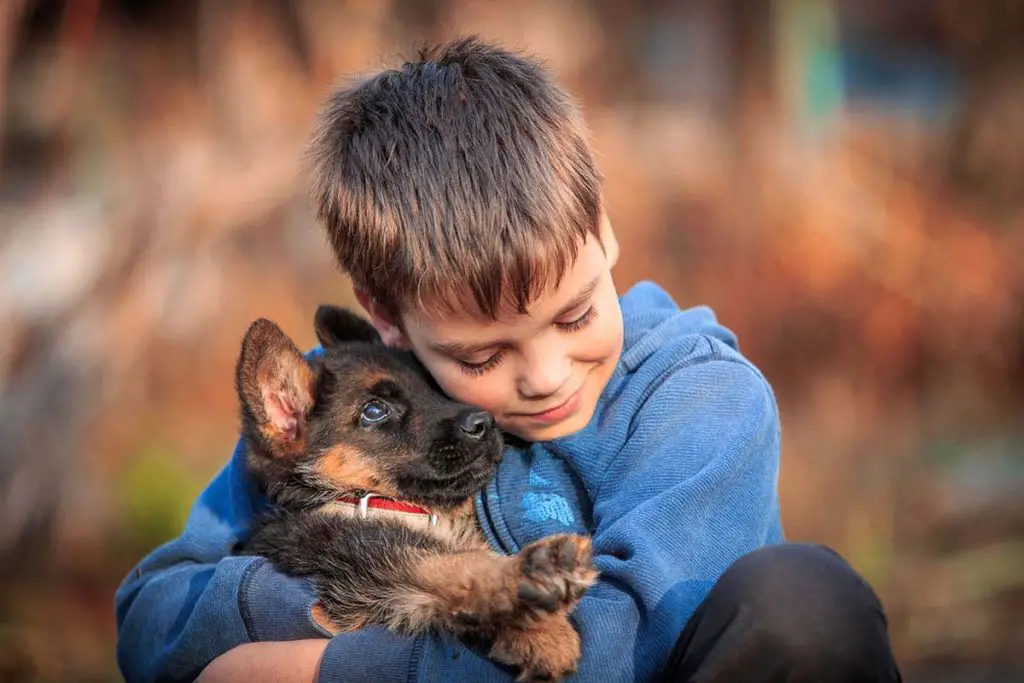 quel est le prix d'un chiot