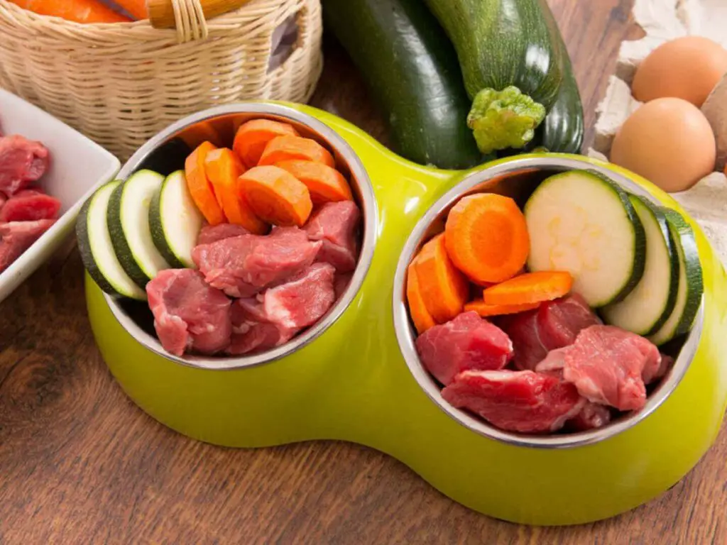 chien quels légumes régime alimentaire naturel