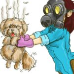 Comment se débarrasser de l'odeur d'un chien dans un appartement - Astuces pratiques