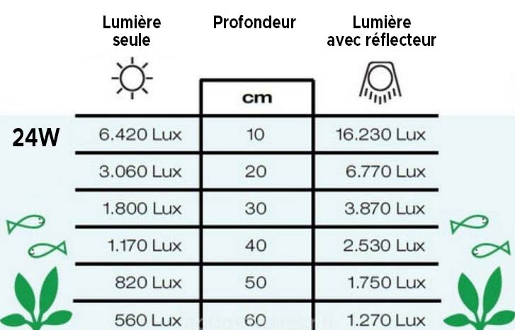 Comment organiser l'éclairage LED d'aquarium