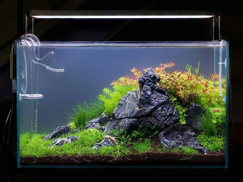 éclairage led aquarium faible capacité