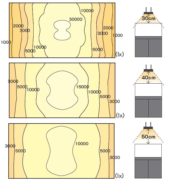 niveaux d'éclairage d'un aquarium