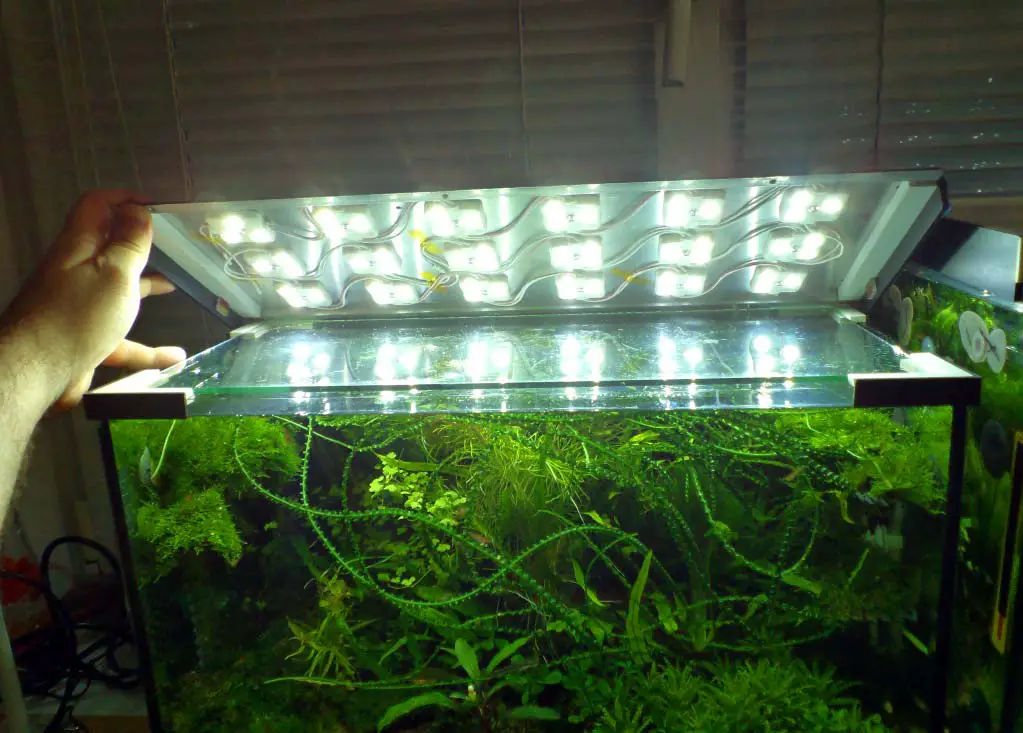 faire soi-même son éclairage led pour aquarium