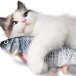 Oméga-3 pour les chats : Bénéfices, risques et posologie