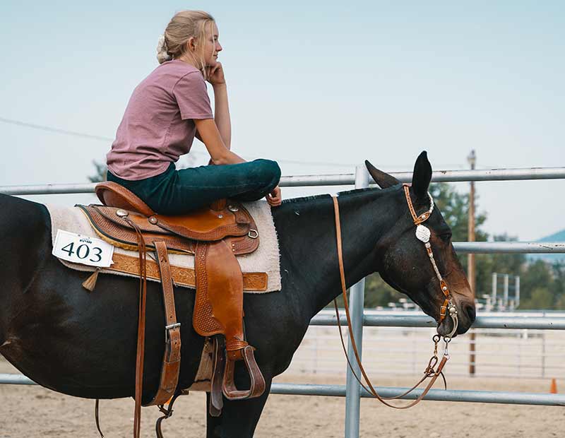 quand donner des compléments alimentaires au cheval