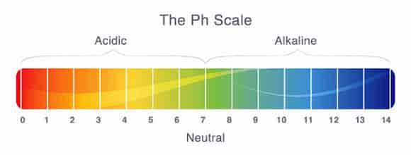 L'échelle de pH d'un aquarium