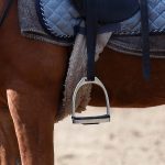 Equitation : comment choisir ses étriers et étrivières ?