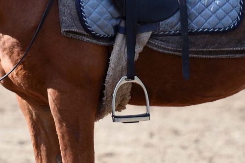 Comment choisir les étriers de son cheval