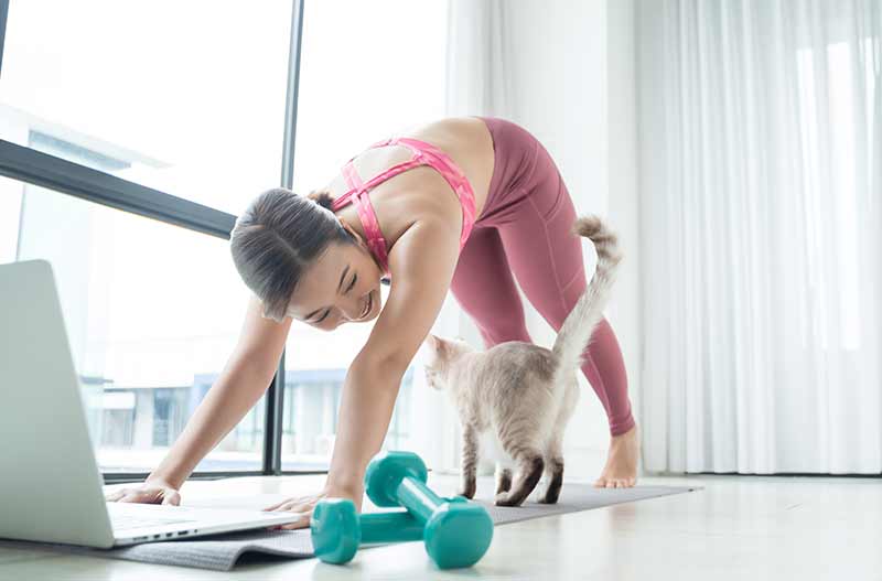 faites faire du sport à votre chat