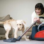 L'art de familiariser son chien avec l'aspirateur : techniques et astuces