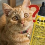 Betadine pour chats : est-ce sûr ?