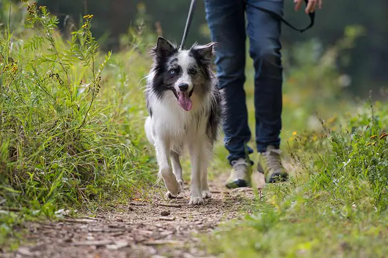 Une promenade avant votre départ s'impose !