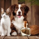 L'huile de coco pour soigner chiens et chats… Tout ce que vous devez savoir