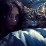 8 stratégies infaillibles pour éviter les réveils nocturnes de votre chat
