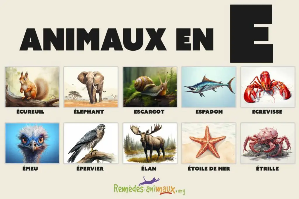 liste des animaux en E