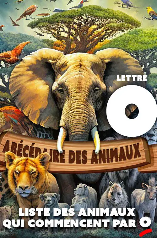 liste animaux lettre o