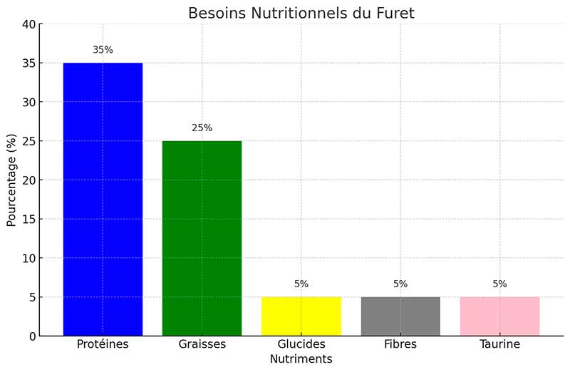 besoins nutritionnels du furet