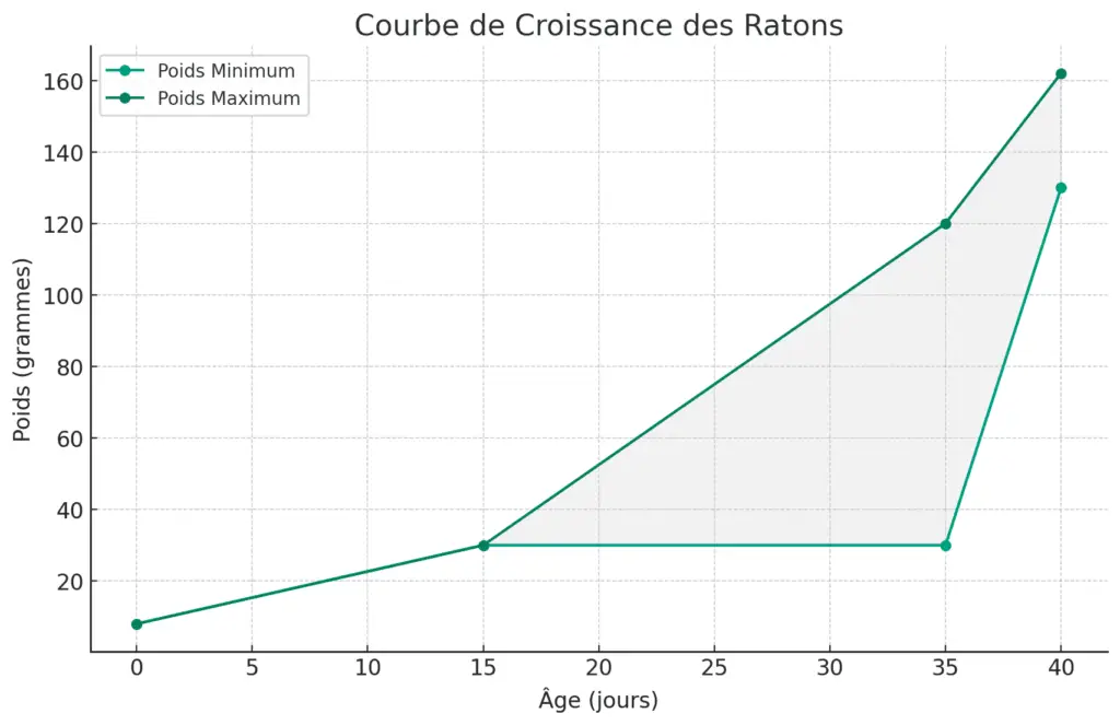 courbe de croissance des ratons