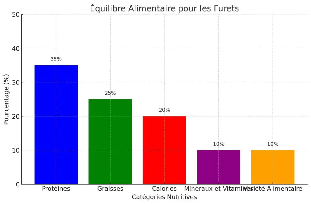 équilibre alimentaire pour furets