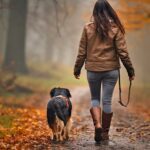 Garde de Chien : Guide Ultime, Solutions et Tarifs