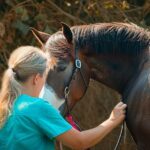 Le vétérinaire équin : Le spécialiste santé de votre cheval