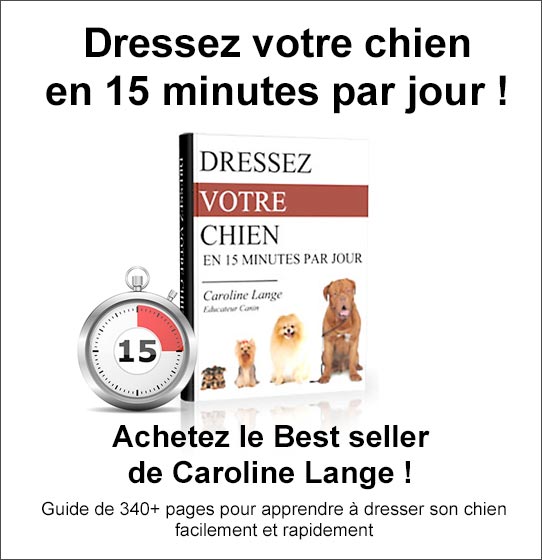 dressez votre chien en 15 min par jour